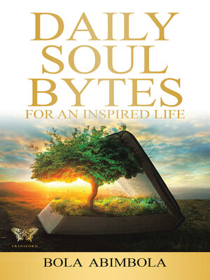 cover image of Daily Soul Bytes